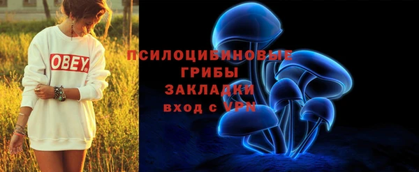 спиды Няндома