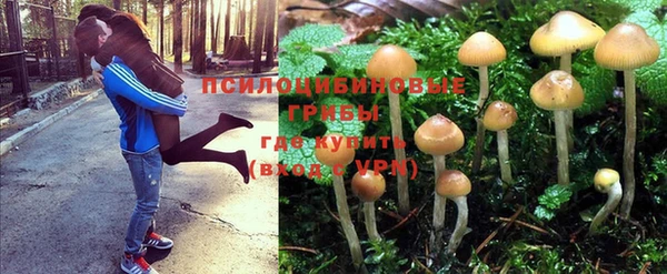 бутират Алзамай