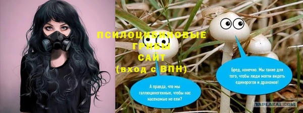 не бодяженный Алексин