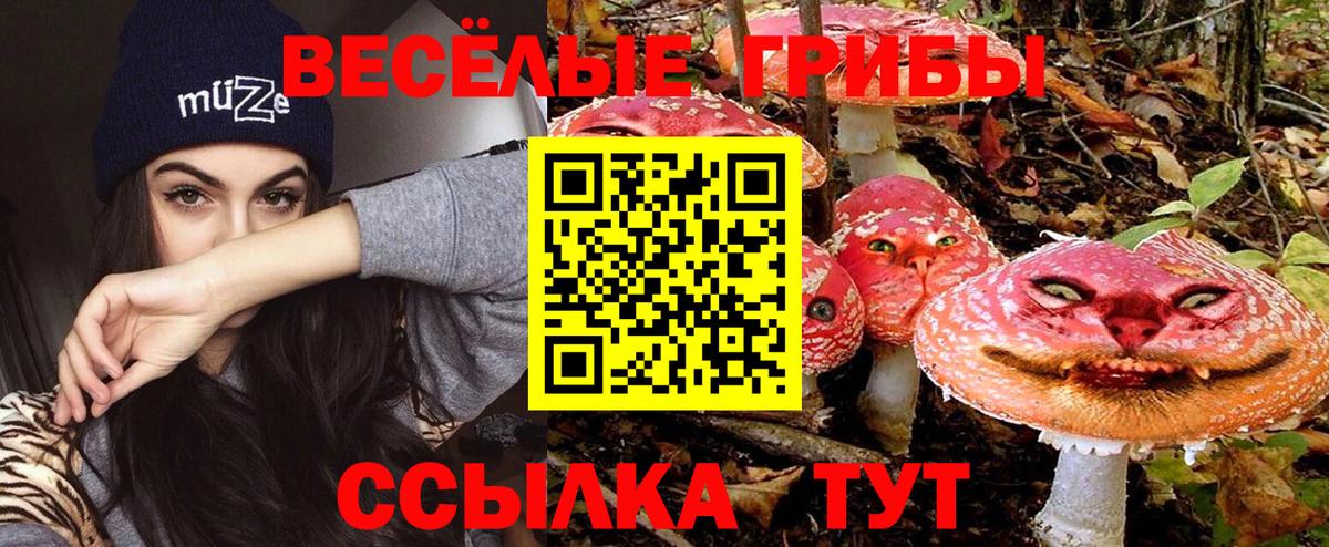 Галлюциногенные грибы MAGIC MUSHROOMS  Вход с VPN  Усолье-Сибирское  Галлюциногенные грибы Psilocybe 